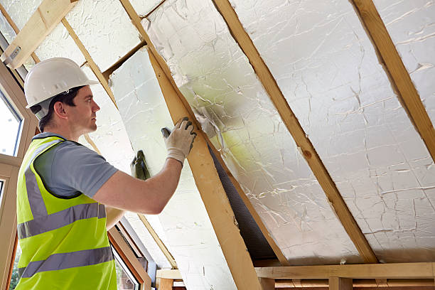 Best Affordable Insulation Services  in USA